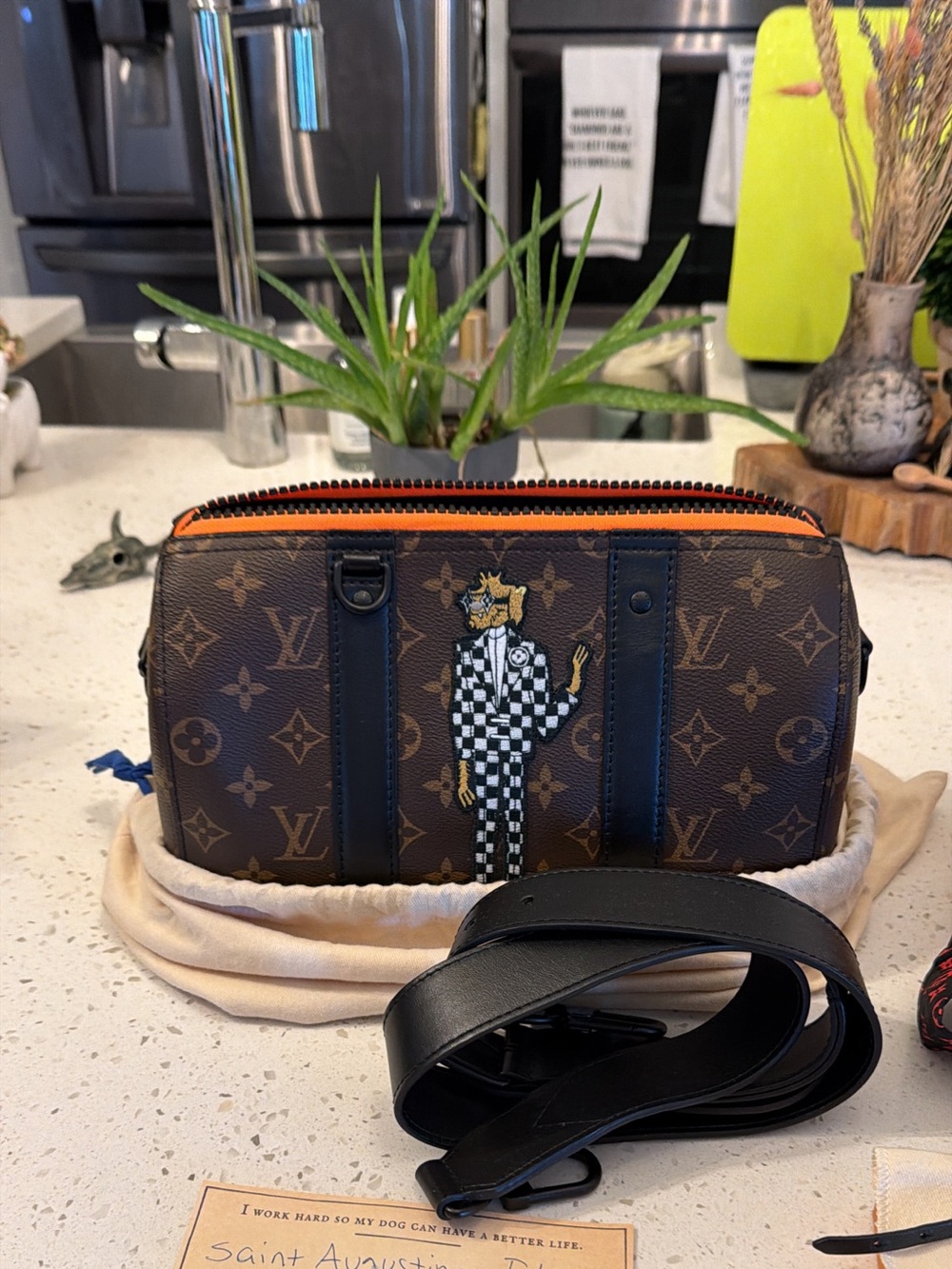 Louis Vuitton LV N Friends zoom city keepall